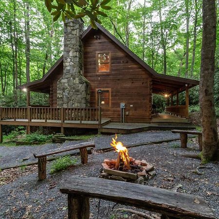 Creekside Bunkhouse Villa Whittier Eksteriør billede